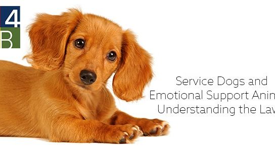 Service Dogs and Emotional Support Animals Hero Image